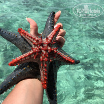 фото из отзыва ID 2175891