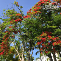 фото из отзыва ID 2175913