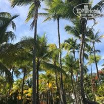 фото из отзыва ID 2175913