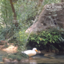 фото из отзыва ID 2175709