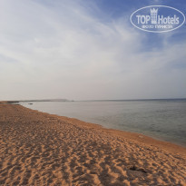 фото из отзыва ID 2176022