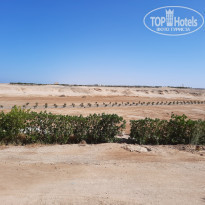 фото из отзыва ID 2176022