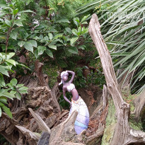 фото из отзыва ID 2176046