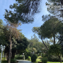 фото из отзыва ID 2176103