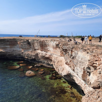 фото из отзыва ID 2176134