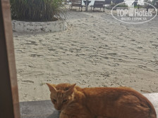Savera Beach Houses