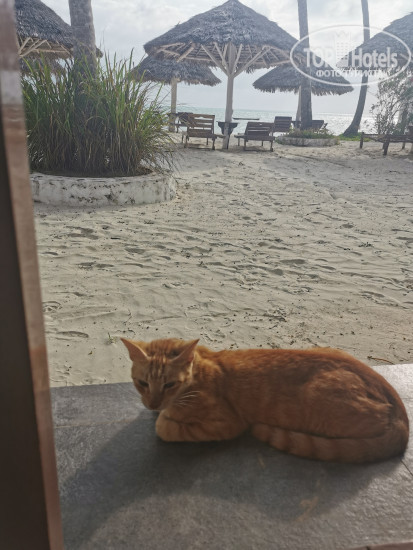 Hotel photo Savera Beach Houses 