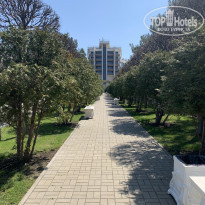 фото из отзыва ID 2176149