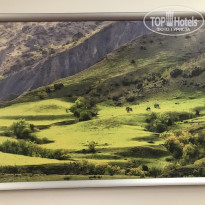 фото из отзыва ID 2176186