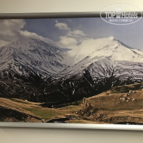 фото из отзыва ID 2176186