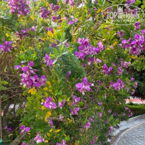 фото из отзыва ID 2176335