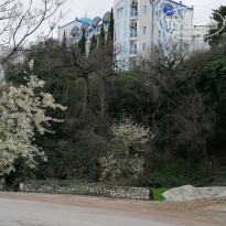 фото из отзыва ID 2176369