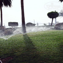 фото из отзыва ID 2176378