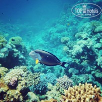 фото из отзыва ID 2176378