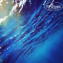 фото из отзыва ID 2176378