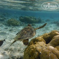 фото из отзыва ID 2176412