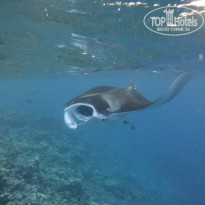 фото из отзыва ID 2176412