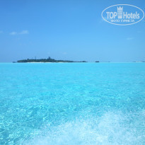 фото из отзыва ID 2176412