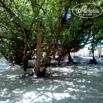 фото из отзыва ID 2176412