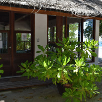 фото из отзыва ID 2176459