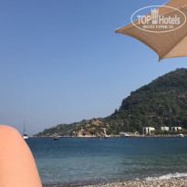 фото из отзыва ID 2176498