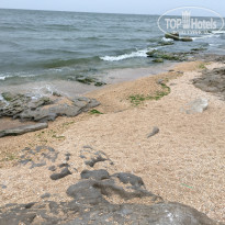 фото из отзыва ID 2176186