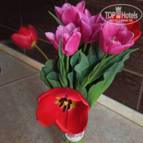 фото из отзыва ID 2176722