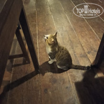 фото из отзыва ID 2176774