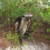 фото из отзыва ID 2176774