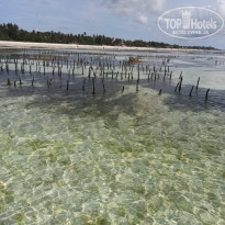 фото из отзыва ID 2176774