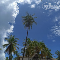 фото из отзыва ID 2176774