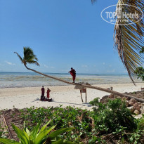 фото из отзыва ID 2176774