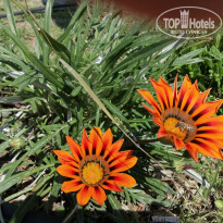 фото из отзыва ID 2176734