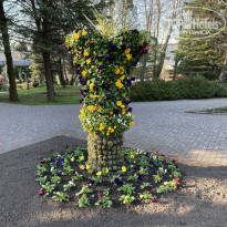 фото из отзыва ID 2176857