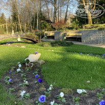 фото из отзыва ID 2176857