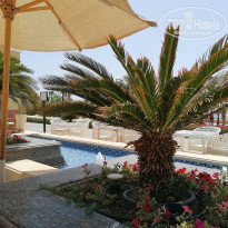 фото из отзыва ID 2176867