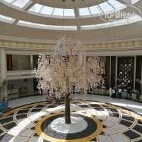 фото из отзыва ID 2176867