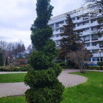 фото из отзыва ID 2176497