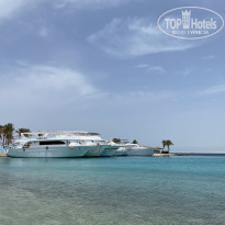 фото из отзыва ID 2176952