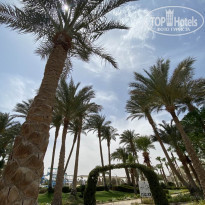 фото из отзыва ID 2176952