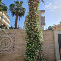 фото из отзыва ID 2177010