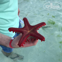 фото из отзыва ID 2177017