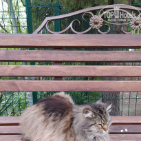 фото из отзыва ID 2177009