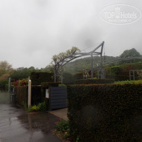 фото из отзыва ID 2177199