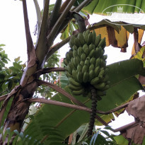 фото из отзыва ID 2177252