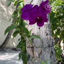 фото из отзыва ID 2177252