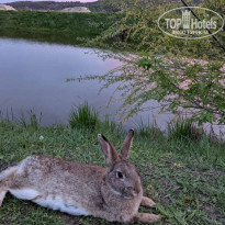 фото из отзыва ID 2177351