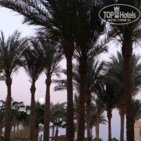 фото из отзыва ID 2177341