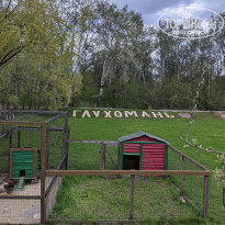 фото из отзыва ID 2177351