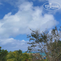 фото из отзыва ID 2177364